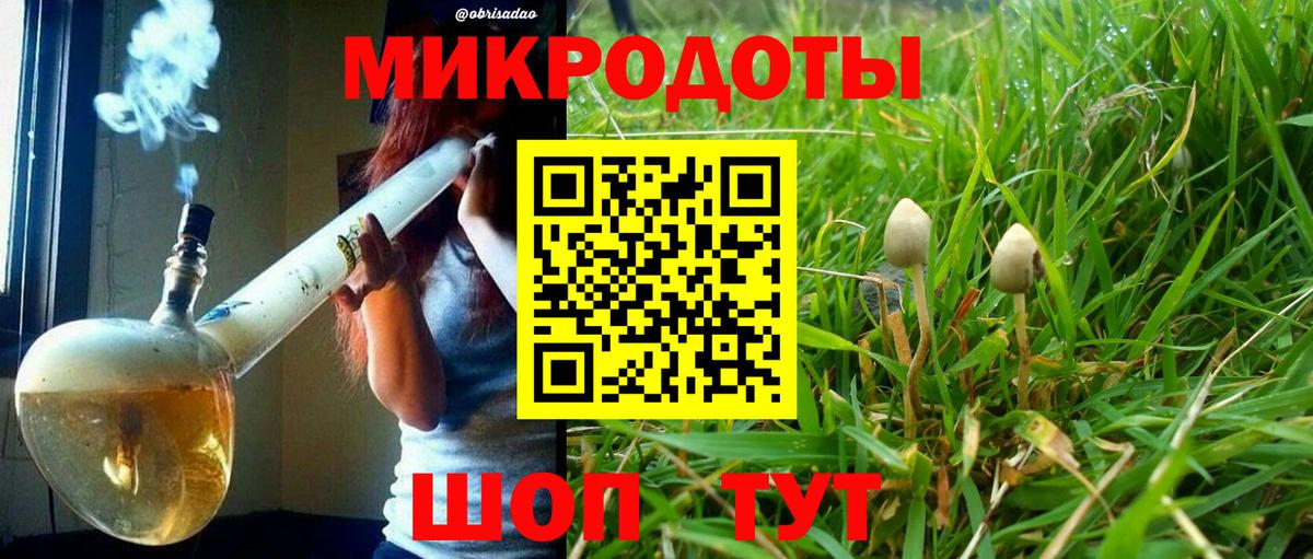 Галлюциногенные грибы Psilocybine cubensis Миллерово