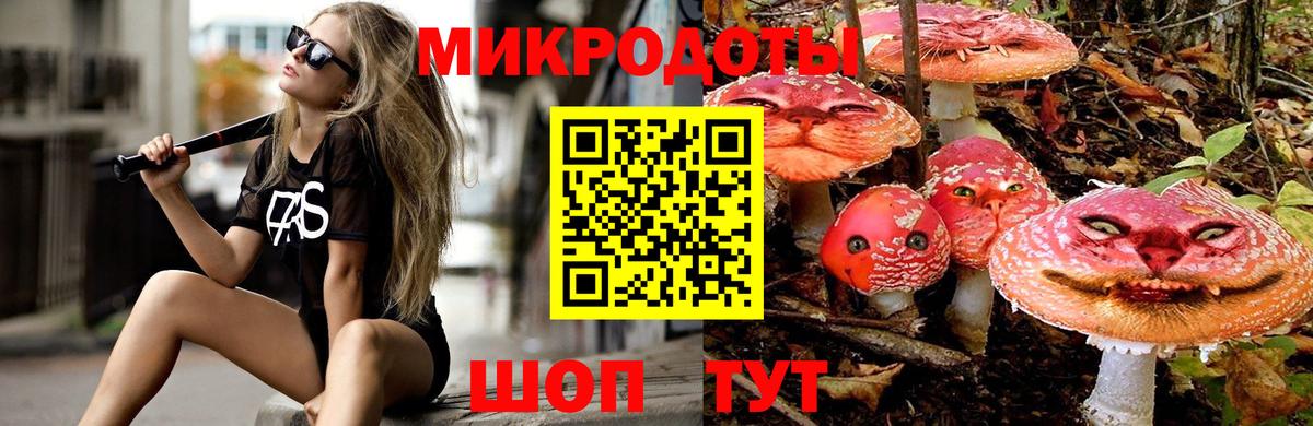 Миллерово  Псилоцибиновые грибы GOLDEN TEACHER  Вход с VPN  Псилоцибиновые грибы мухоморы 